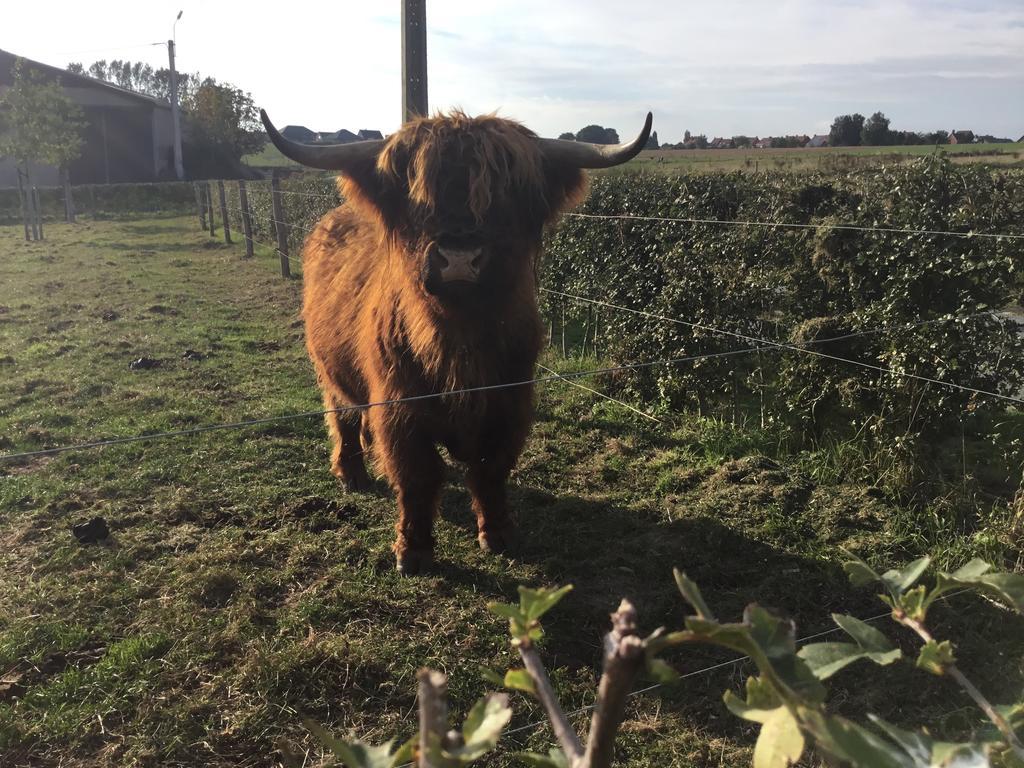 De Kouterhoeve Moorslede Buitenkant foto