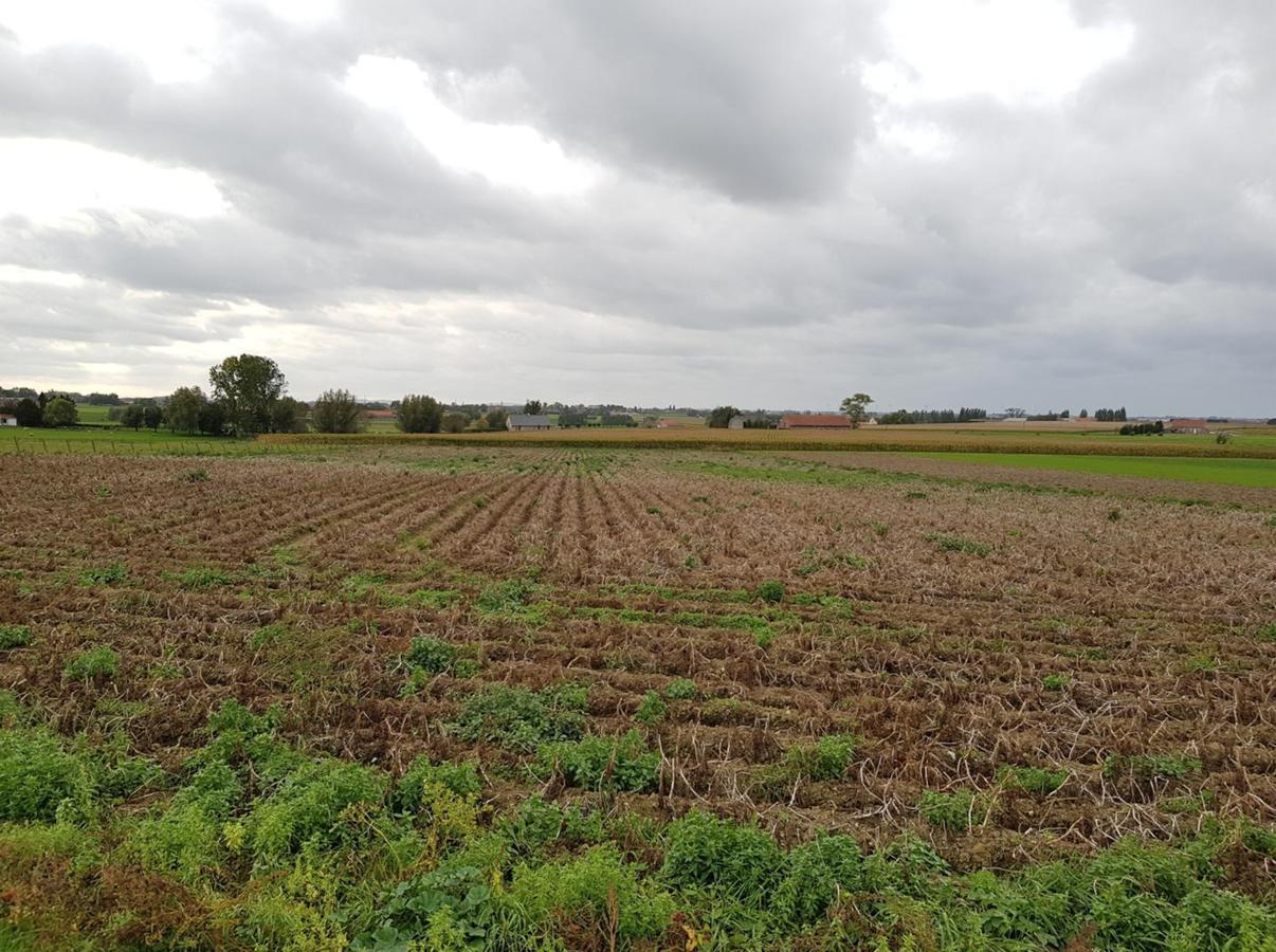 De Kouterhoeve Moorslede Buitenkant foto